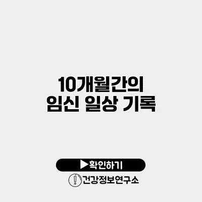 10개월간의 임신 일상 기록