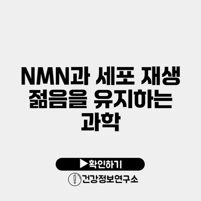 NMN과 세포 재생 젊음을 유지하는 과학