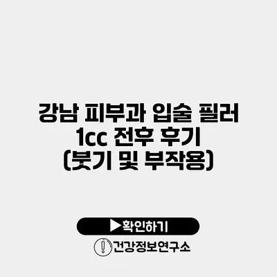 강남 피부과 입술 필러 1cc 전후 후기 (붓기 및 부작용)