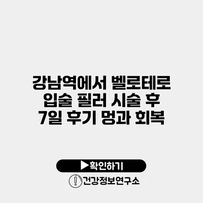 강남역에서 벨로테로 입술 필러 시술 후 7일 후기 멍과 회복
