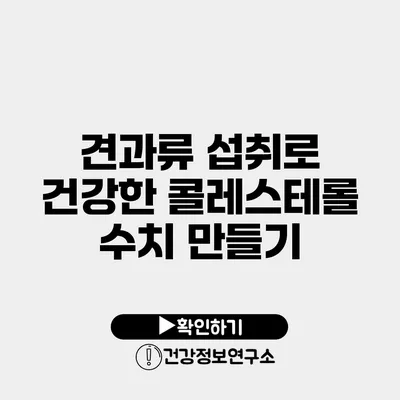 견과류 섭취로 건강한 콜레스테롤 수치 만들기