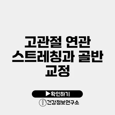 고관절 연관 스트레칭과 골반 교정