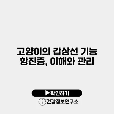 고양이의 갑상선 기능 항진증, 이해와 관리