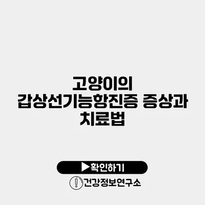 고양이의 갑상선기능항진증 증상과 치료법