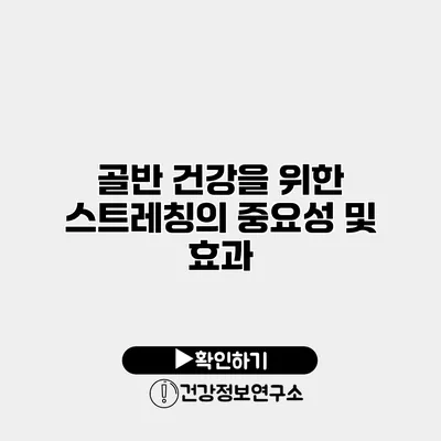 골반 건강을 위한 스트레칭의 중요성 및 효과