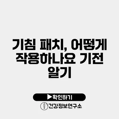 기침 패치, 어떻게 작용하나요? 기전 알기