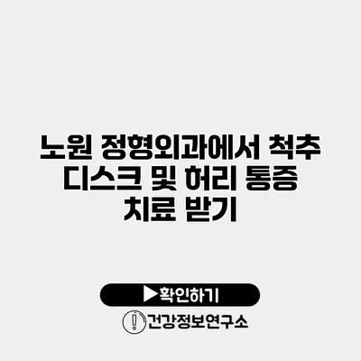 노원 정형외과에서 척추 디스크 및 허리 통증 치료 받기