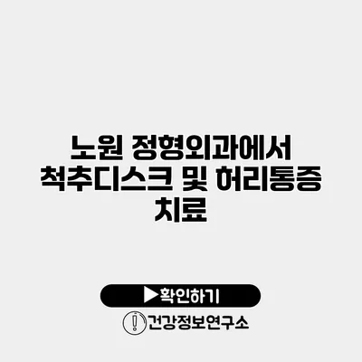 노원 정형외과에서 척추디스크 및 허리통증 치료