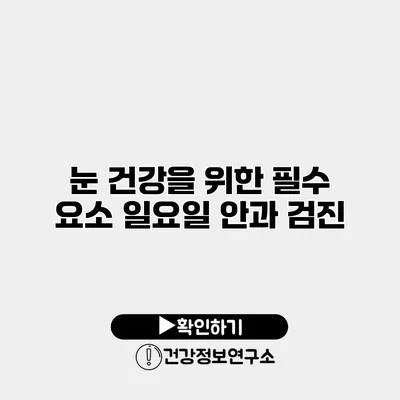 눈 건강을 위한 필수 요소 일요일 안과 검진
