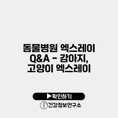 동물병원 엑스레이 Q&A - 강아지, 고양이 엑스레이