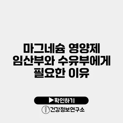 마그네슘 영양제 임산부와 수유부에게 필요한 이유