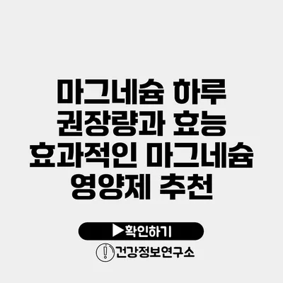 마그네슘 하루 권장량과 효능 효과적인 마그네슘 영양제 추천