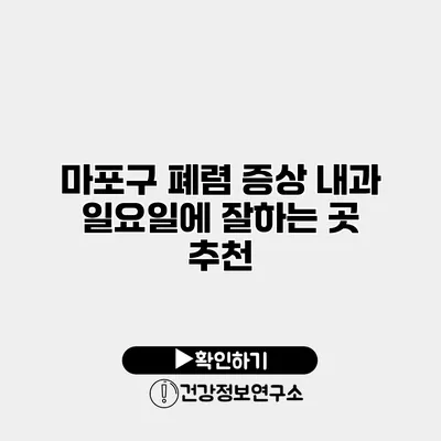 마포구 폐렴 증상 내과 일요일에 잘하는 곳 추천