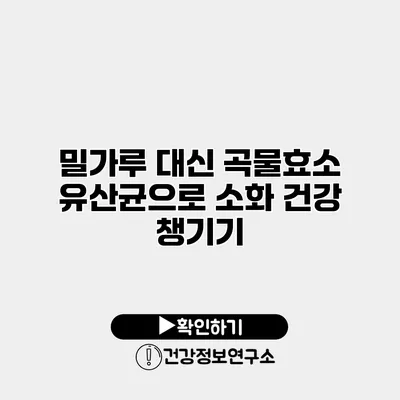 밀가루 대신 곡물효소 유산균으로 소화 건강 챙기기