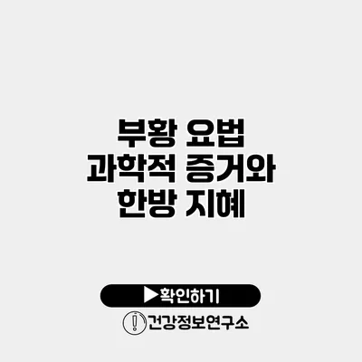부황 요법 과학적 증거와 한방 지혜