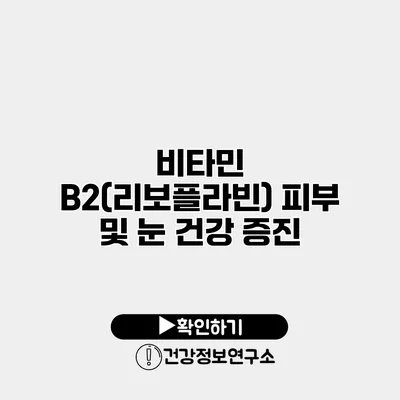 비타민 B2(리보플라빈) 피부 및 눈 건강 증진