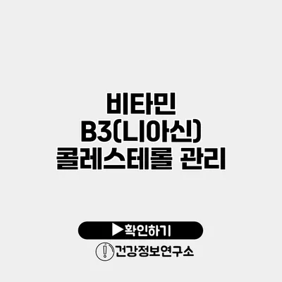 비타민 B3(니아신) 콜레스테롤 관리