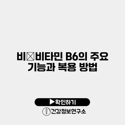 비�비타민 B6의 주요 기능과 복용 방법