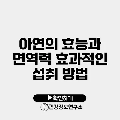 아연의 효능과 면역력 효과적인 섭취 방법