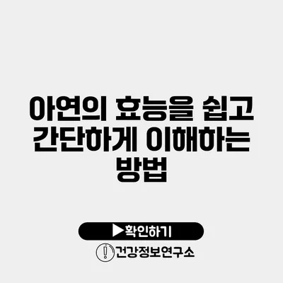 아연의 효능을 쉽고 간단하게 이해하는 방법