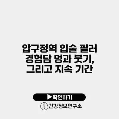 압구정역 입술 필러 경험담 멍과 붓기, 그리고 지속 기간