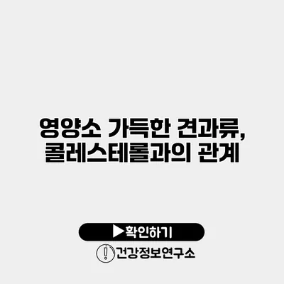영양소 가득한 견과류, 콜레스테롤과의 관계