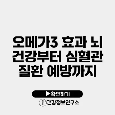 오메가3 효과 뇌 건강부터 심혈관 질환 예방까지