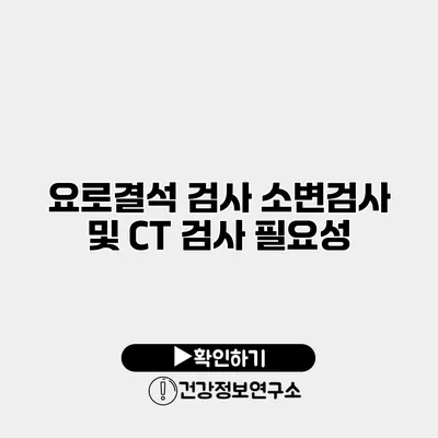 요로결석 검사 소변검사 및 CT 검사 필요성