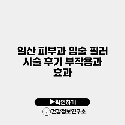 일산 피부과 입술 필러 시술 후기 부작용과 효과