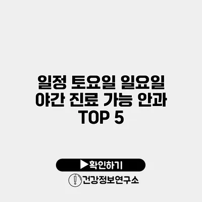 일정 토요일 일요일 야간 진료 가능 안과 TOP 5