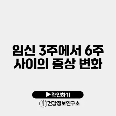 임신 3주에서 6주 사이의 증상 변화