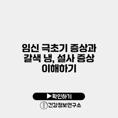 임신 극초기 증상과 갈색 냉, 설사 증상 이해하기