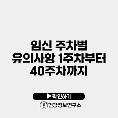 임신 주차별 유의사항 1주차부터 40주차까지