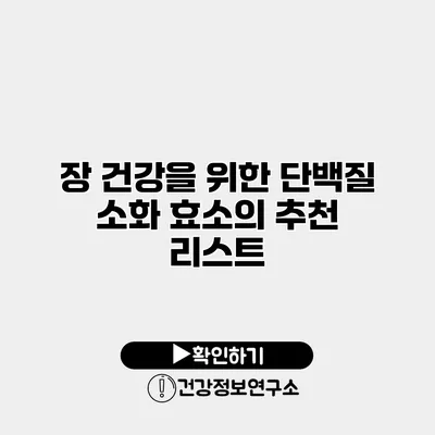 장 건강을 위한 단백질 소화 효소의 추천 리스트