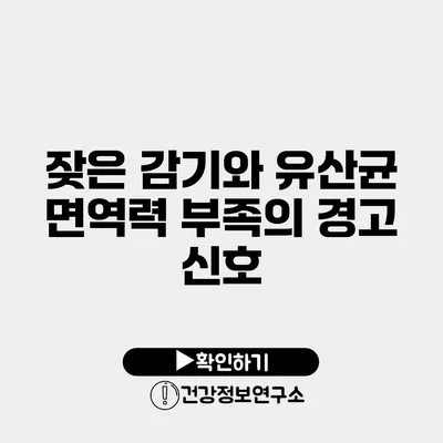 잦은 감기와 유산균 면역력 부족의 경고 신호