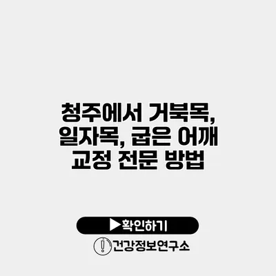 청주에서 거북목, 일자목, 굽은 어깨 교정 전문 방법