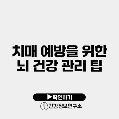 치매 예방을 위한 뇌 건강 관리 팁