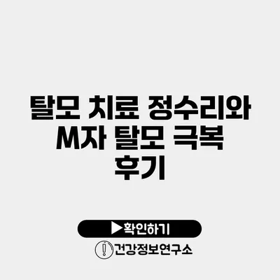 탈모 치료 정수리와 M자 탈모 극복 후기