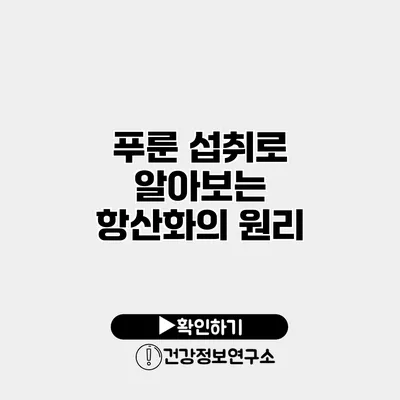 푸룬 섭취로 알아보는 항산화의 원리