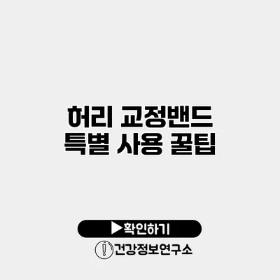 허리 교정밴드 특별 사용 꿀팁