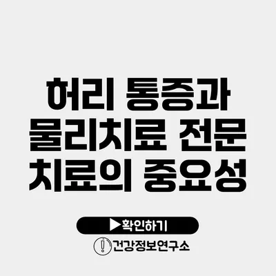 허리 통증과 물리치료 전문 치료의 중요성