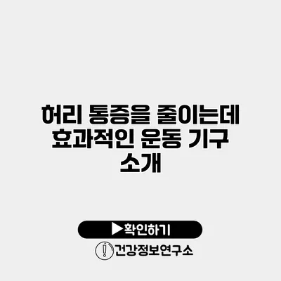 허리 통증을 줄이는데 효과적인 운동 기구 소개