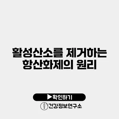 활성산소를 제거하는 항산화제의 원리