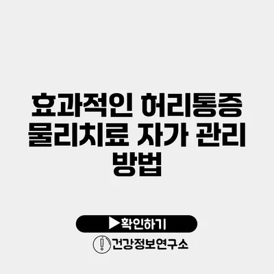 효과적인 허리통증 물리치료 자가 관리 방법