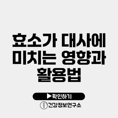 효소가 대사에 미치는 영향과 활용법