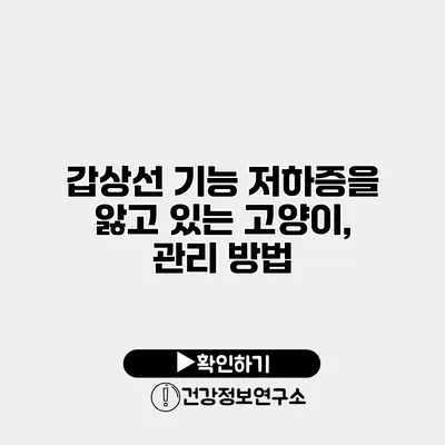 갑상선 기능 저하증을 앓고 있는 고양이, 관리 방법