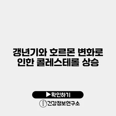 갱년기와 호르몬 변화로 인한 콜레스테롤 상승