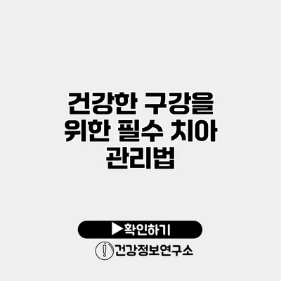 건강한 구강을 위한 필수 치아 관리법