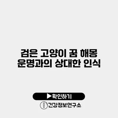 검은 고양이 꿈 해몽 운명과의 상대한 인식