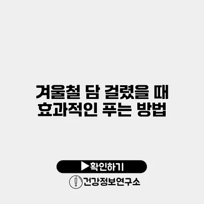 겨울철 담 걸렸을 때 효과적인 푸는 방법